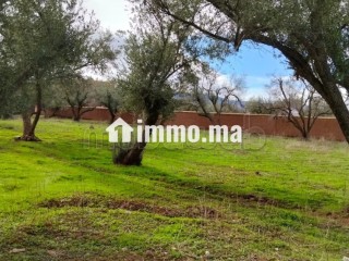 Terrain à vendre Ourika 460 m² - Terrain à vendre - Autre