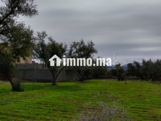 Terrain à vendre Ourika 460 m² - Terrain à vendre - Autre