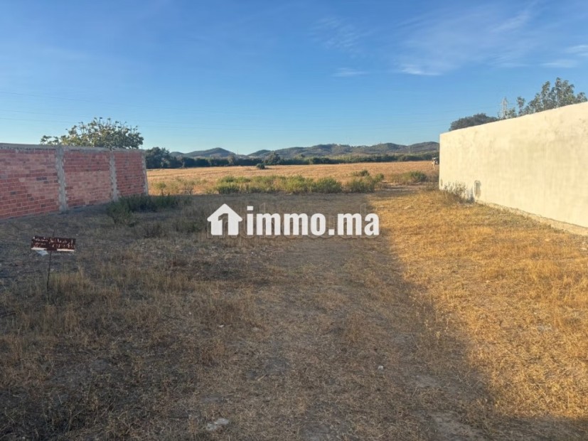 Vente de terrain à Mallalienne. Surface totale 300 m² - Vente Immobilier - Autre - photo 5