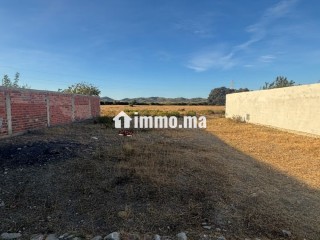 Vente de terrain à Mallalienne. Surface totale 300 m² - Terrain à vendre - Autre