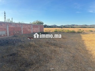 Vente de terrain à Mallalienne. Surface totale 300 m² - Terrain à vendre - Autre