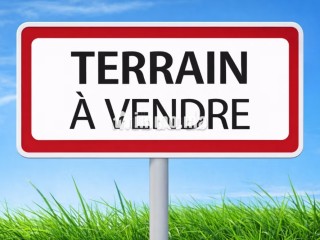 Terrain industriel 2 ha Had Soualem bon prix - Terrain à vendre - Autre