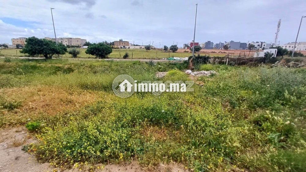 LOTISSEMENT AL ANAKA Terrain à vendre 300 m² Route Immouzer Fès - Vente Immobilier - Fes - photo 2