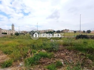LOTISSEMENT AL ANAKA Terrain à vendre 300 m² Route Immouzer Fès - Terrain à vendre - Fes