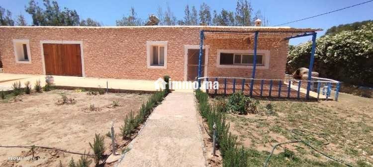 Projet maison d'hôtes ou résidence familiale - Vente Immobilier - Essaouira - photo 2