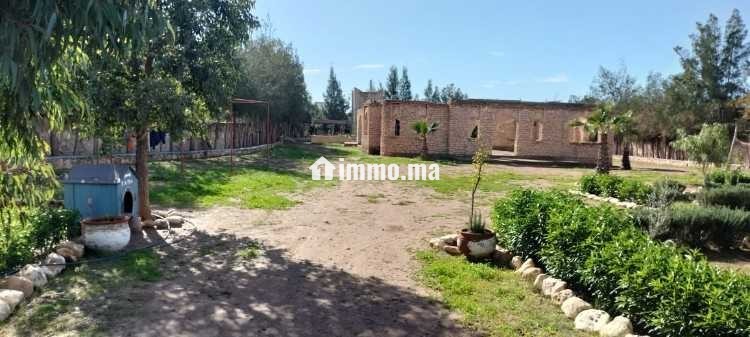 Projet maison d'hôtes ou résidence familiale - Vente Immobilier - Essaouira - photo 6