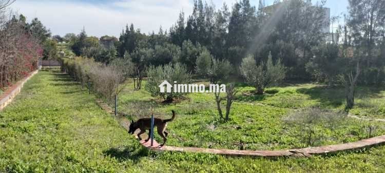 Projet maison d'hôtes ou résidence familiale - Vente Immobilier - Essaouira - photo 8