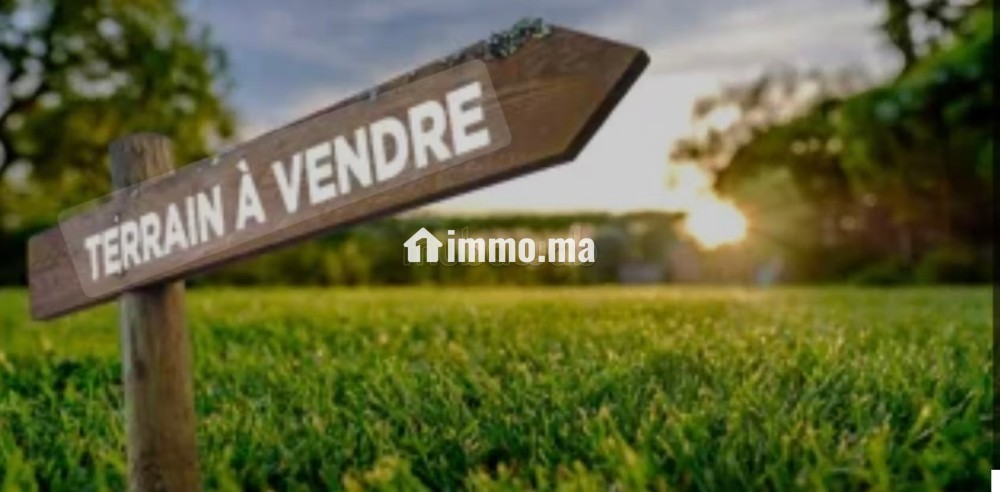 Terrain à acheter à Plage Skhirat - Vente Immobilier - Autre - photo 1
