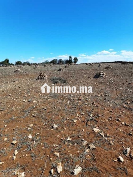 Un terrain agricole a vendre - Vente Immobilier - Casablanca - photo 1