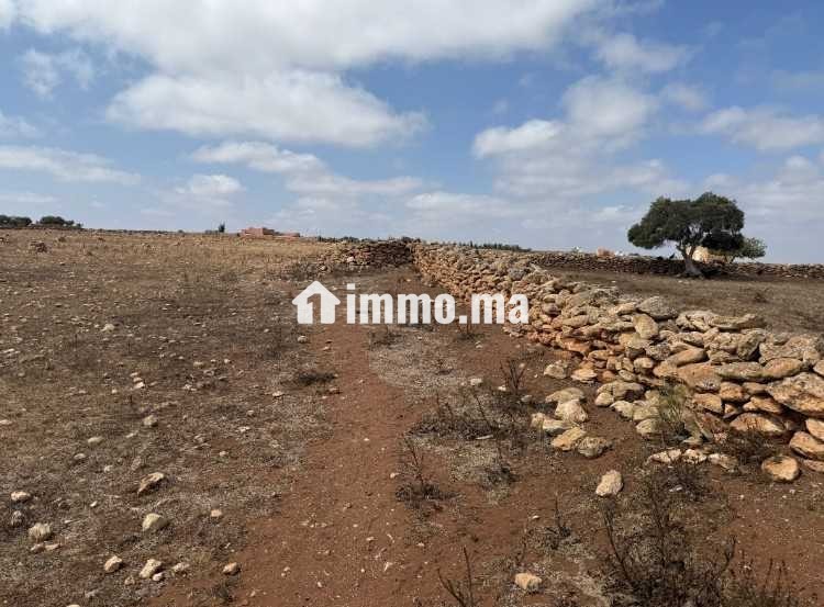 Un terrain agricole a vendre - Vente Immobilier - Casablanca - photo 2