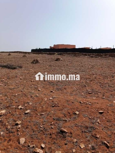 Un terrain agricole a vendre - Vente Immobilier - Casablanca - photo 3
