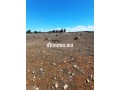 Un terrain agricole a vendre - miniature 1
