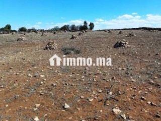 Un terrain agricole a vendre - Terrain à vendre - Casablanca