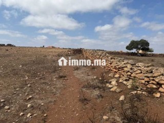 Un terrain agricole a vendre - Terrain à vendre - Casablanca