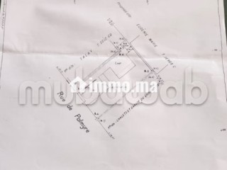 Beau terrain en location à Bourgogne Ouest.
Surface totale 176 m² - Terrain à louer - Casablanca