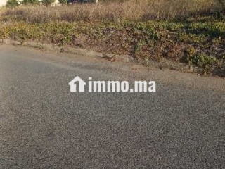Terrain à vendre à al nassim islane 446 m² - Terrain à vendre - Casablanca