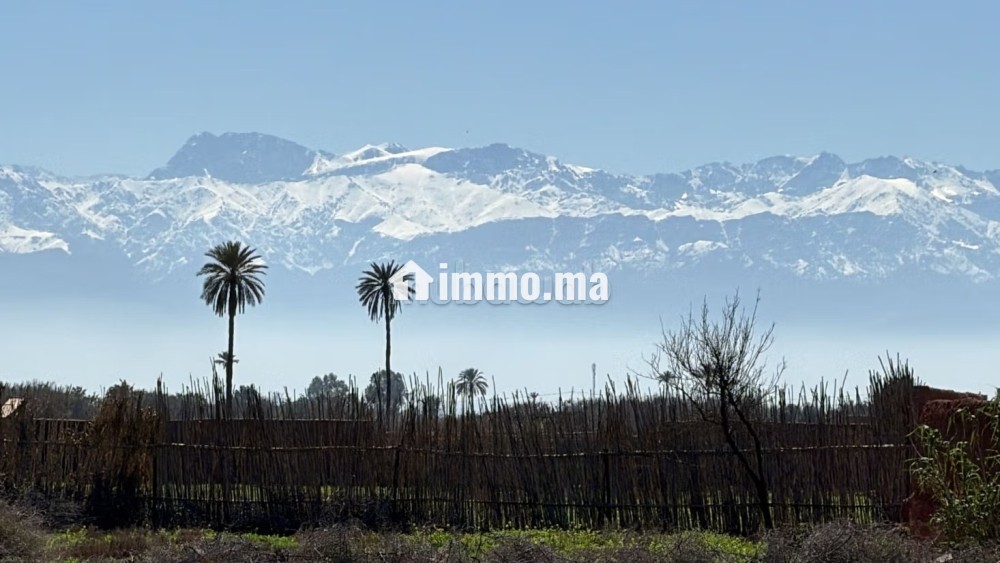 Terrain d’Exception1 Hectare à Marrakech - Vente Immobilier - Marrakech - photo 1