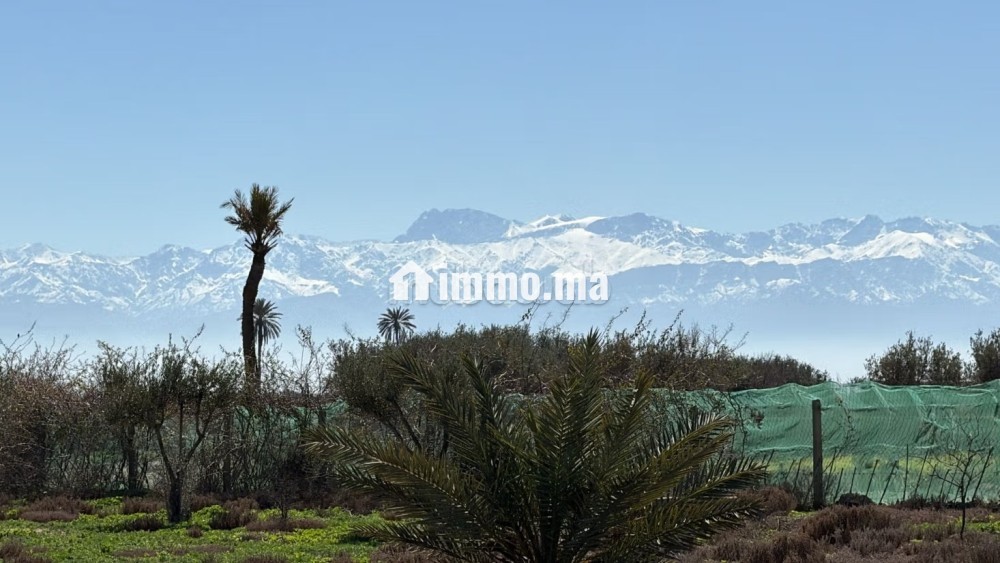 Terrain d’Exception1 Hectare à Marrakech - Vente Immobilier - Marrakech - photo 3