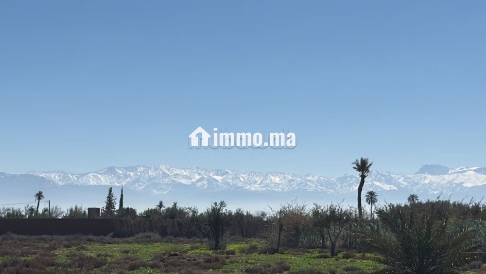 Terrain d’Exception1 Hectare à Marrakech - Vente Immobilier - Marrakech - photo 4