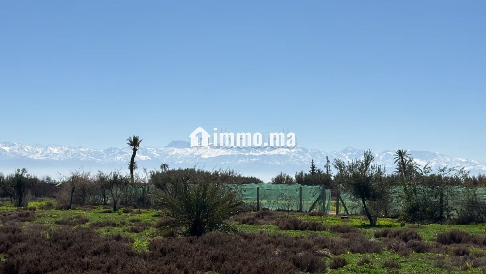 Terrain d’Exception1 Hectare à Marrakech - Vente Immobilier - Marrakech - photo 5