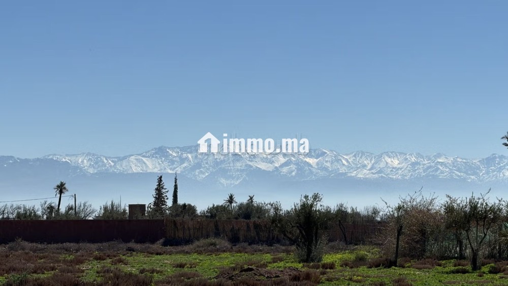 Terrain d’Exception1 Hectare à Marrakech - Vente Immobilier - Marrakech - photo 6