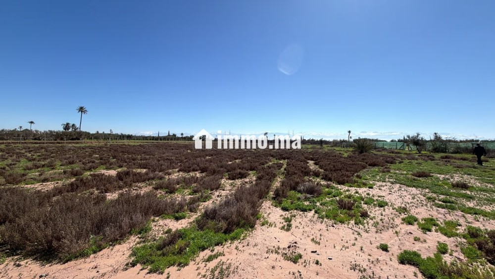 Terrain d’Exception1 Hectare à Marrakech - Vente Immobilier - Marrakech - photo 7