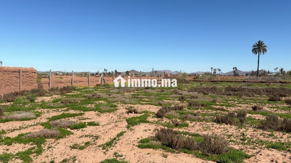 Terrain d’Exception1 Hectare à Marrakech - Vente Immobilier - Marrakech - photo 8