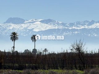 Terrain d’Exception1 Hectare à Marrakech - Terrain à vendre - Marrakech