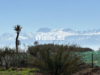 Terrain d’Exception1 Hectare à Marrakech - Terrain à vendre - Marrakech
