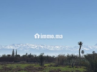 Terrain d’Exception1 Hectare à Marrakech - Terrain à vendre - Marrakech