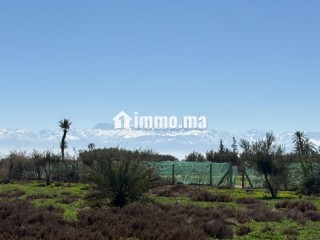 Terrain d’Exception1 Hectare à Marrakech - Terrain à vendre - Marrakech