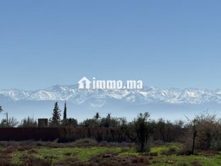 Terrain d’Exception1 Hectare à Marrakech - Terrain à vendre - Marrakech