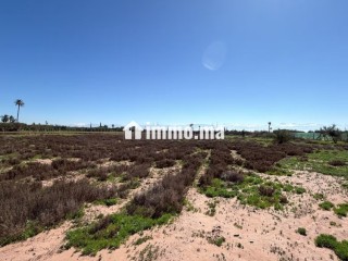 Terrain d’Exception1 Hectare à Marrakech - Terrain à vendre - Marrakech
