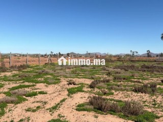 Terrain d’Exception1 Hectare à Marrakech - Terrain à vendre - Marrakech