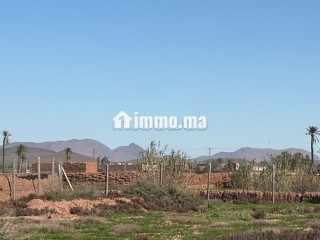 Terrain d’Exception1 Hectare à Marrakech - Terrain à vendre - Marrakech