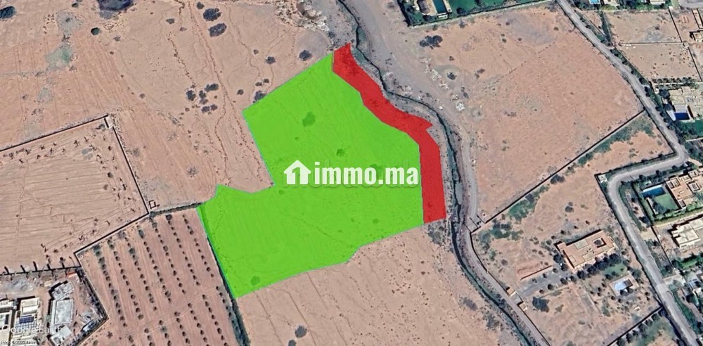 Palais d’Exception Palmeraie de Marrakech - Vente Immobilier - Marrakech - photo 5