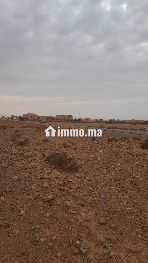 Terrain 2 hectares à Guelmim proche des facultés - Vente Immobilier - Guelmim - photo 2