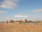 Terrain 2 hectares à Guelmim proche des facultés - Terrain à vendre - Guelmim