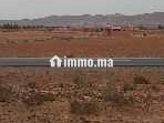Terrain 2 hectares à Guelmim proche des facultés - Terrain à vendre - Guelmim