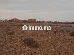 Terrain 14 hectares prêts à accueillir un grand projet - Terrain à vendre - Guelmim
