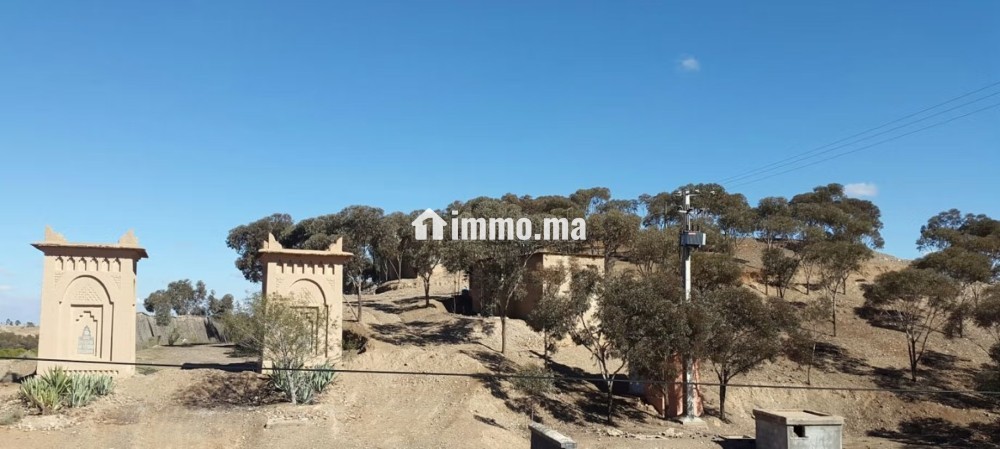 Vente terrain à Route Amizmiz. Surface de 13110 m² - Vente Immobilier - Marrakech - photo 1