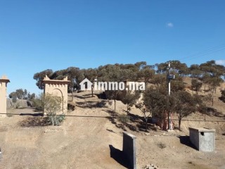 Vente terrain à Route Amizmiz. Surface de 13110 m² - Terrain à vendre - Marrakech