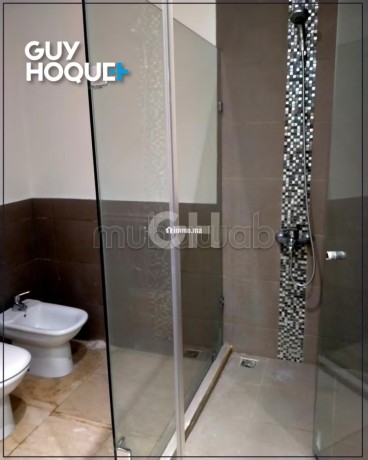 appartement-a-louer-meuble-aux-princesses-big-10