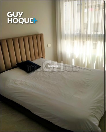appartement-a-louer-meuble-aux-princesses-big-8