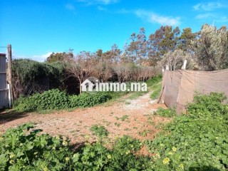 Terrain à vendre 0 m² Lqliaa Inezgane Ait Melloul - Terrain à vendre - Ait Melloul