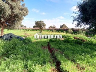 Terrain à vendre 0 m² Lqliaa Inezgane Ait Melloul - Terrain à vendre - Ait Melloul