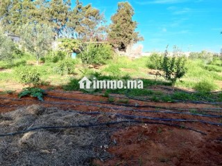 Terrain à vendre 0 m² Lqliaa Inezgane Ait Melloul - Terrain à vendre - Ait Melloul