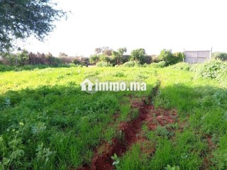 Terrain à vendre 0 m² Lqliaa Inezgane Ait Melloul - Terrain à vendre - Ait Melloul