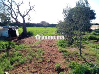 Terrain à vendre 0 m² Lqliaa Inezgane Ait Melloul - Terrain à vendre - Ait Melloul