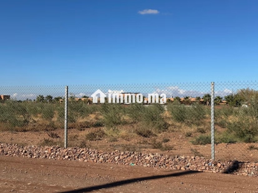 Terrain à avendre zone. Sd1. . Surface de 10000 m² - Vente Immobilier - Marrakech - photo 4